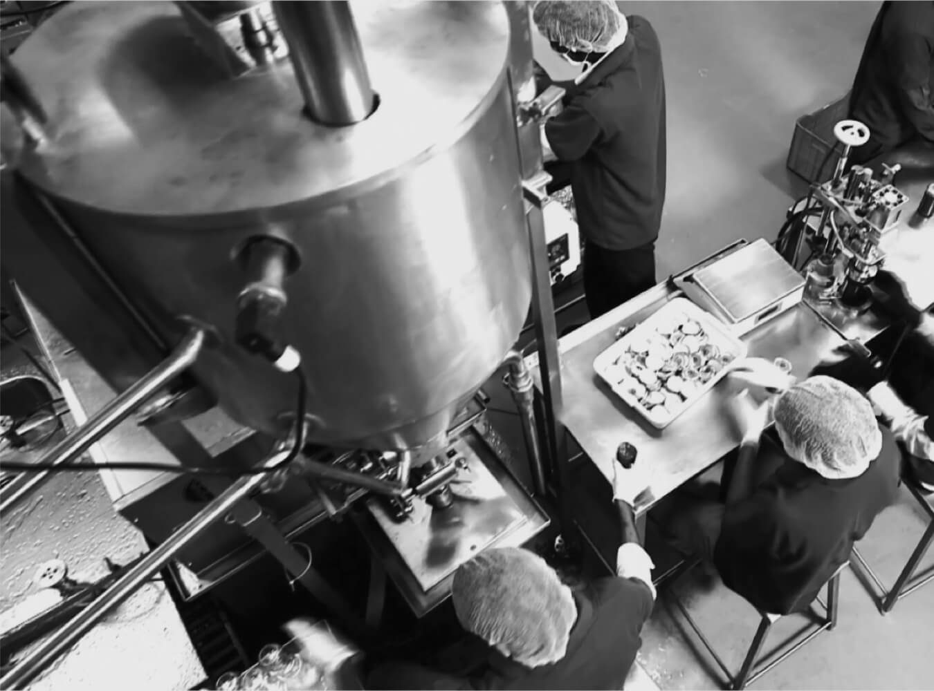 Factory Image 4